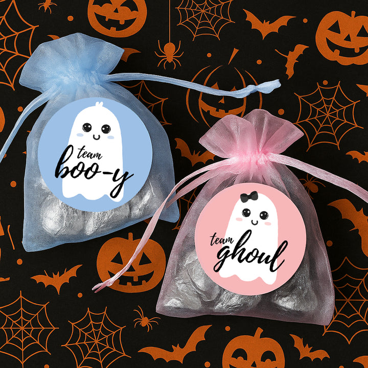 Halloween Baby Gender Reveal Party: Little Boo - Fall Blue Team Boo-y or Pink Team Ghoul Voting Stickers - 40 Stickers