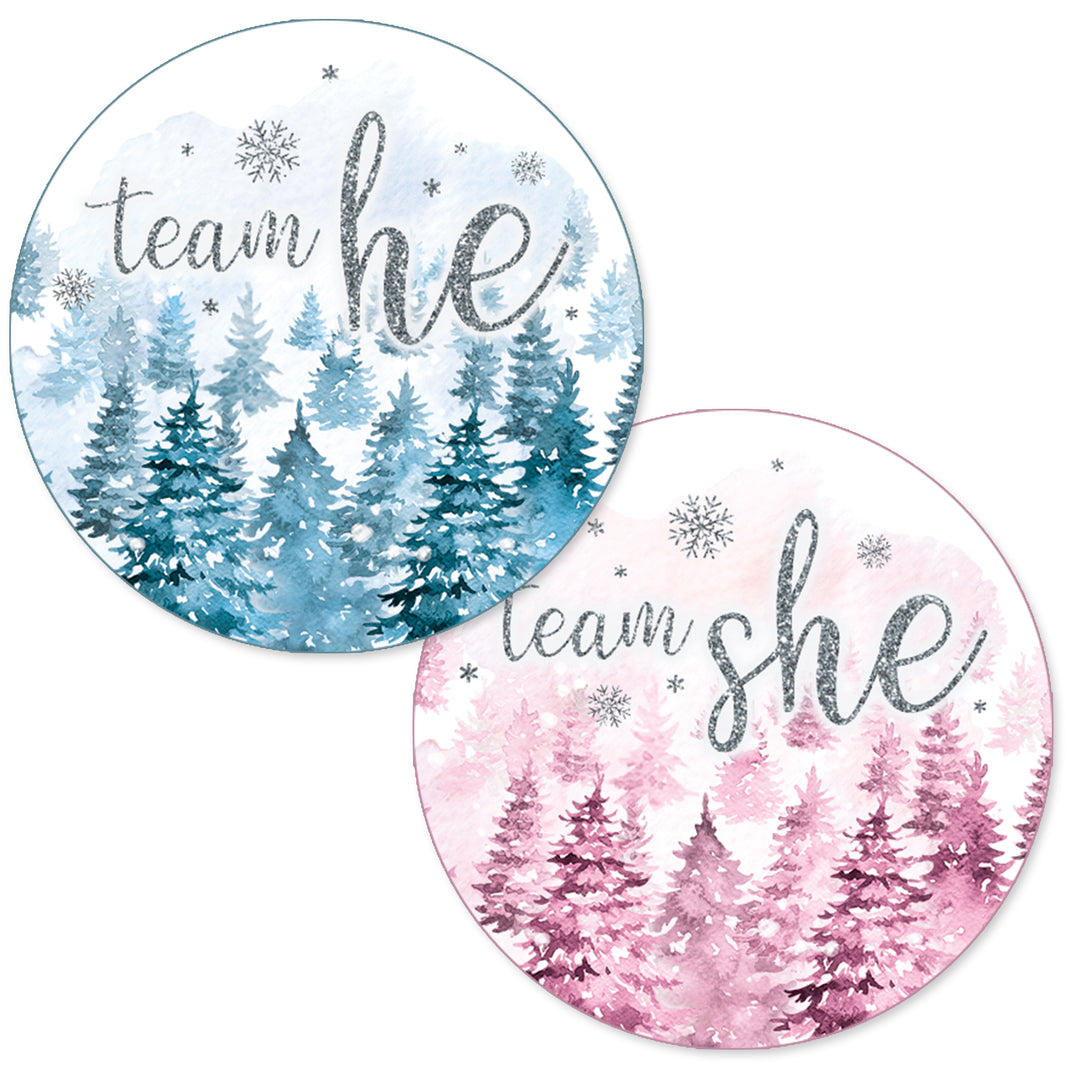 Winter Trees Evergreen: Baby Gender Reveal Party - Team He or She - 40 Stickers
