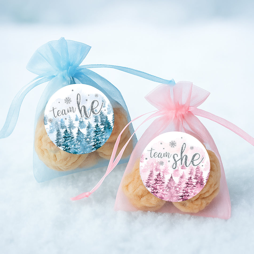 Winter Trees Evergreen: Baby Gender Reveal Party - Team He or She - 40 Stickers