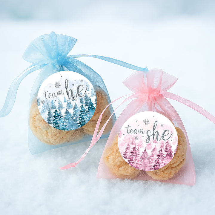 Winter Trees Evergreen: Baby Gender Reveal Party - Team He or She - 40 Stickers