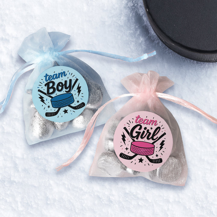 Hockey Gender Reveal Stickers – Team Boy or Team Girl – 40 Count