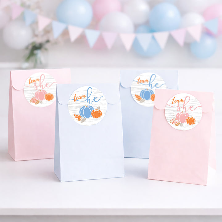 Little Pumpkin: Baby Gender Reveal Party - Team He or She Stickers - 40 Stickers