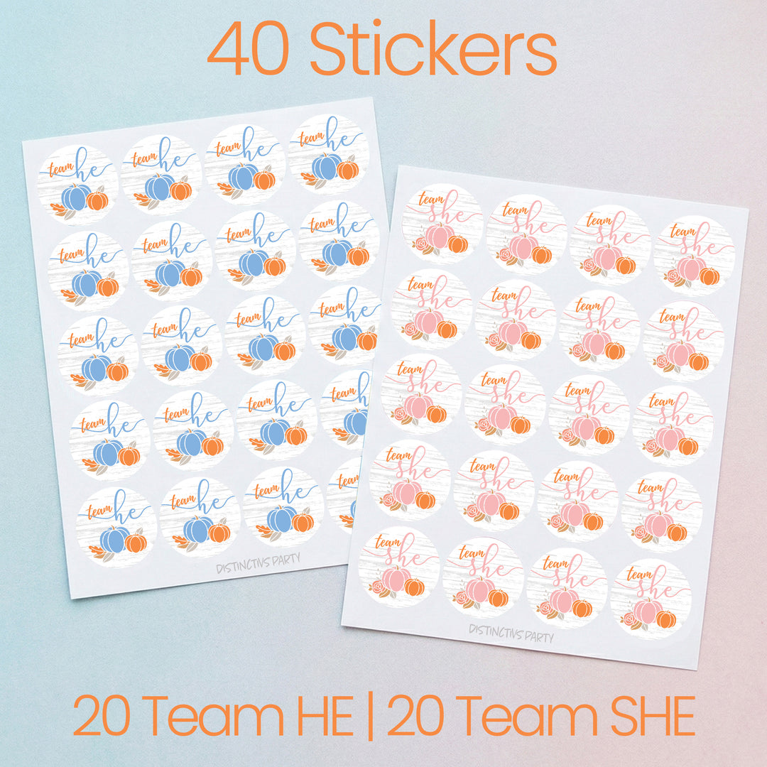 Little Pumpkin: Baby Gender Reveal Party - Team He or She Stickers - 40 Stickers