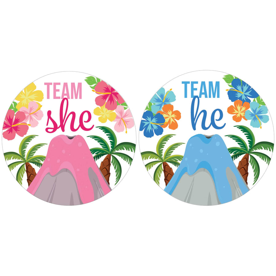 Hawaiian Luau: Gender Reveal Party - Team He and Team She Voting Stickers - 40 Stickers - Distinctivs Party