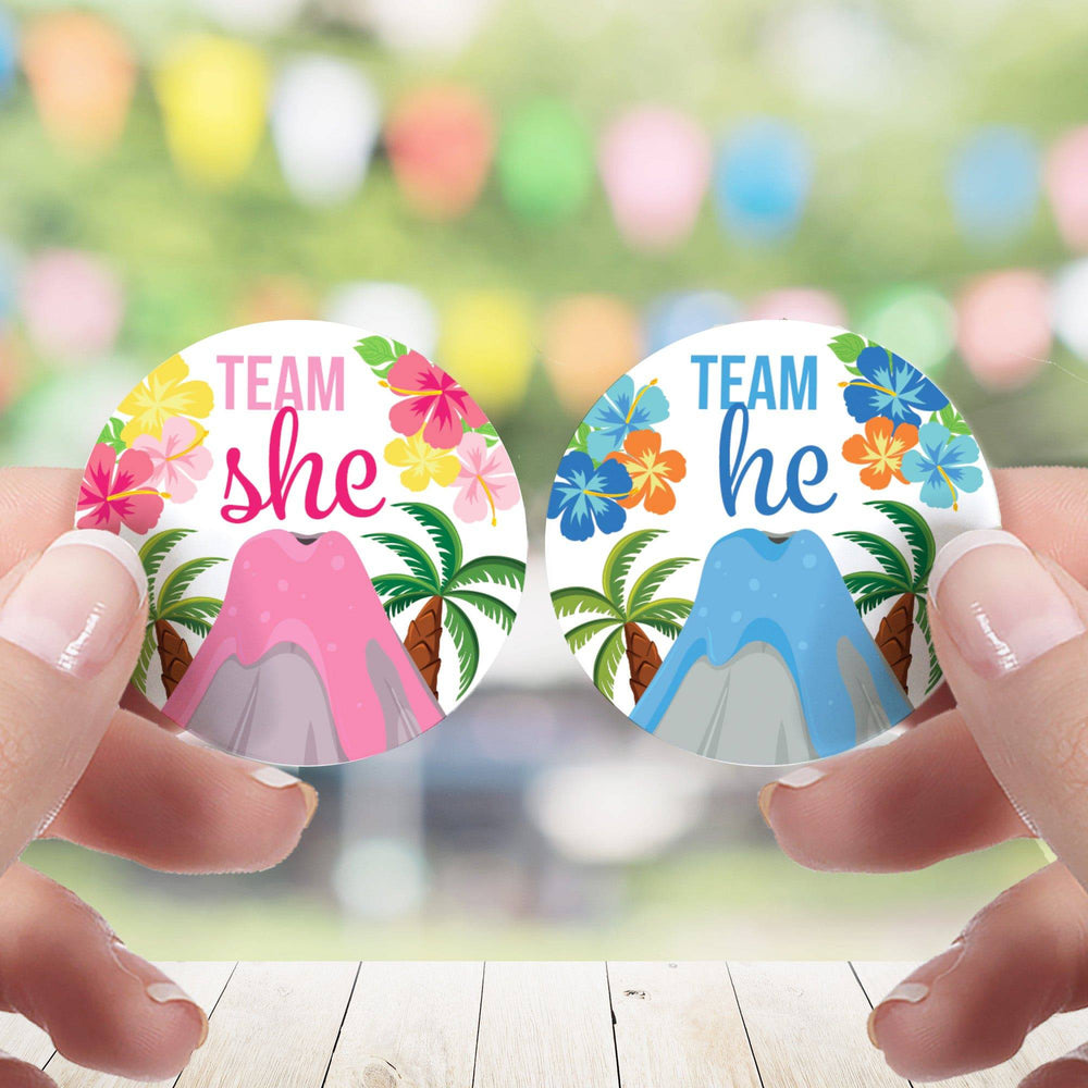 Hawaiian Luau: Gender Reveal Party - Team He and Team She Voting Stickers - 40 Stickers - Distinctivs Party