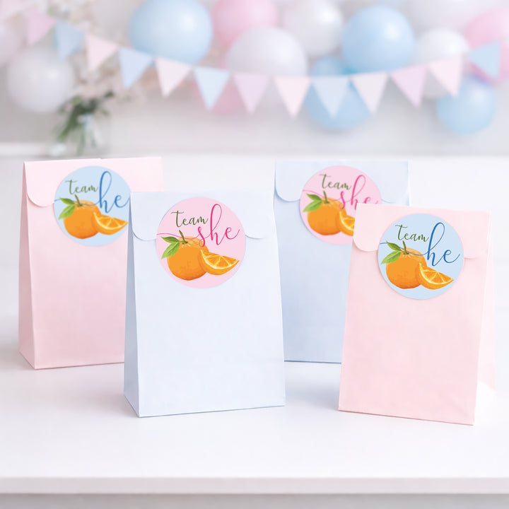 Little Cutie: Baby Gender Reveal Party - Team He or Team She Stickers - 40 Stickers
