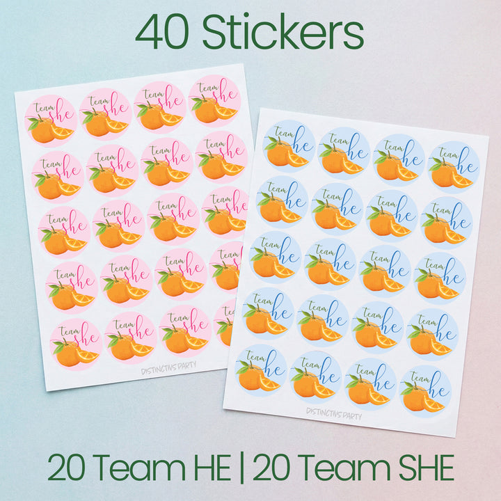 Little Cutie: Baby Gender Reveal Party - Team He or Team She Stickers - 40 Stickers