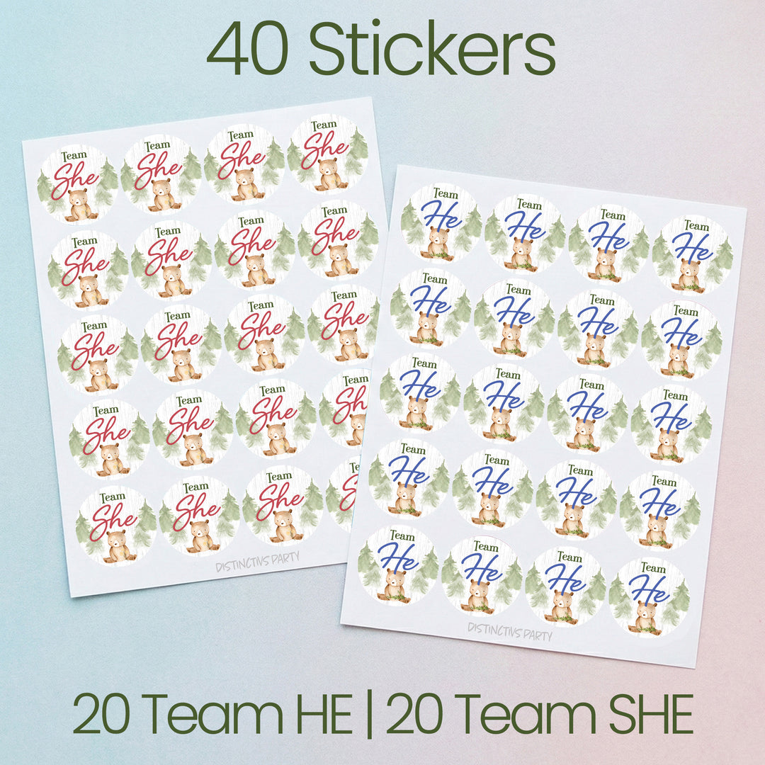 Woodland Bear: Gender Reveal Party - We Can Bearly Wait, Team He or She - 40 Stickers