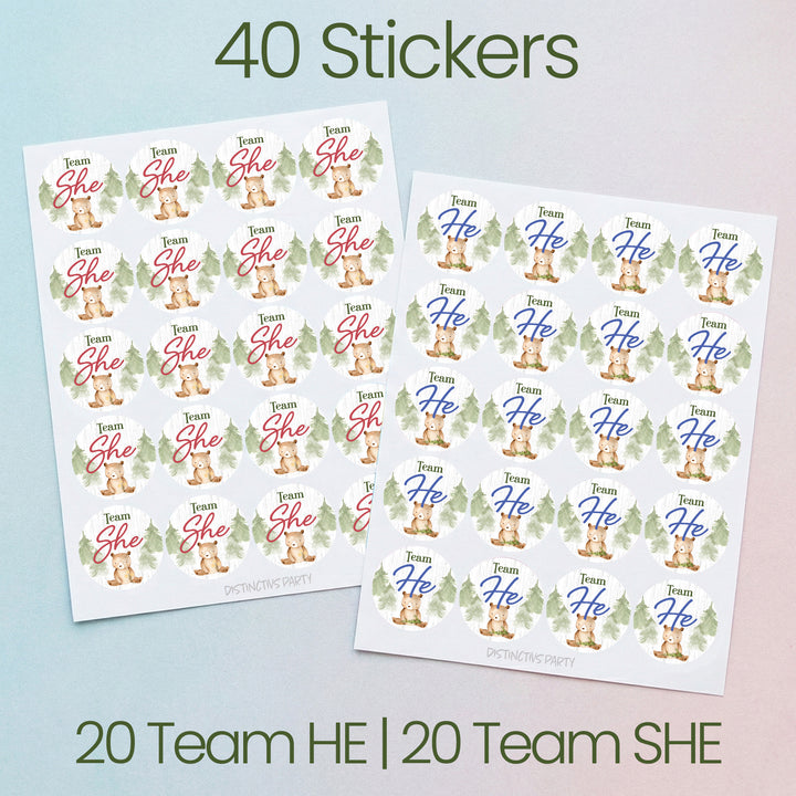 Woodland Bear: Gender Reveal Party - We Can Bearly Wait, Team He or She - 40 Stickers