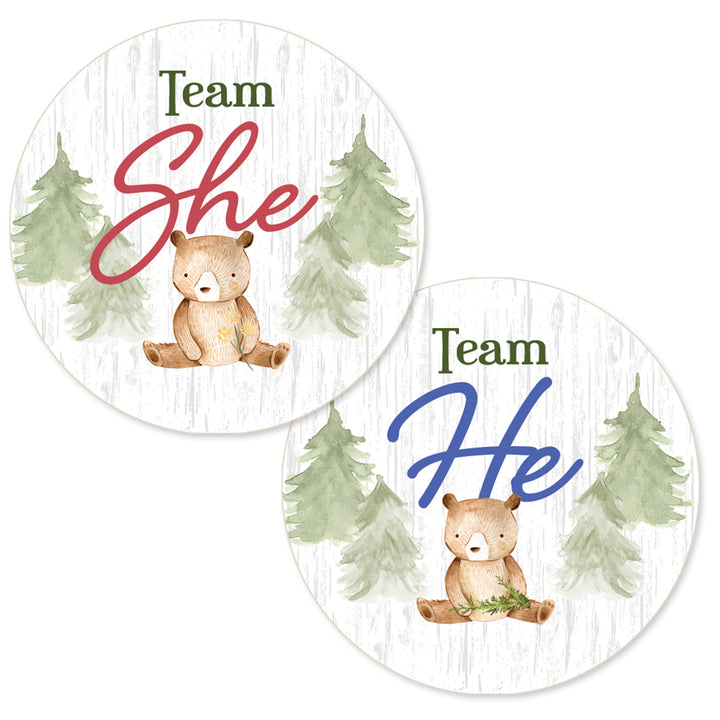 Woodland Bear: Gender Reveal Party - We Can Bearly Wait, Team He or She - 40 Stickers