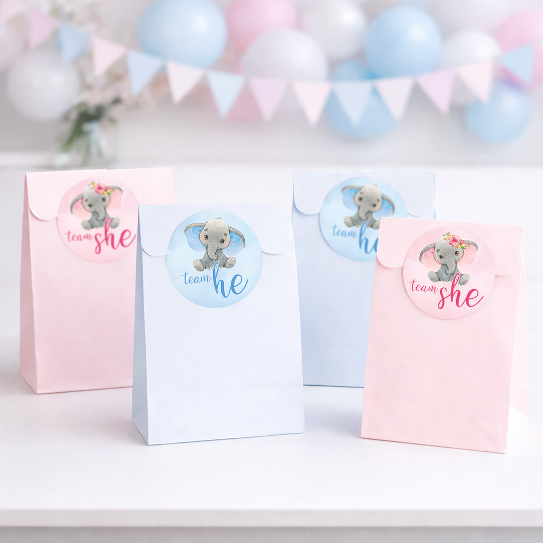 Elephant: Gender Reveal Party -Team He or Team She - 40 Stickers