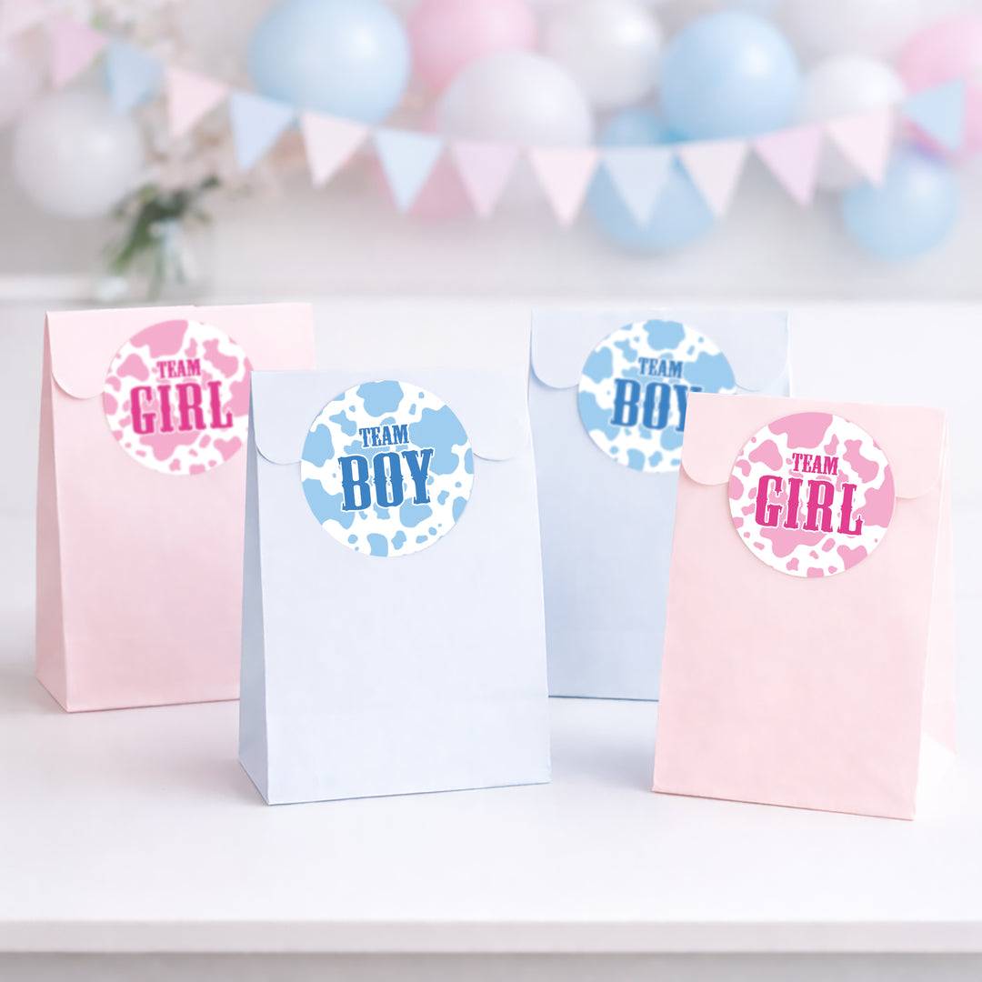 Cow print: Gender Reveal Party - Team Boy or Team Girl - 40 Stickers