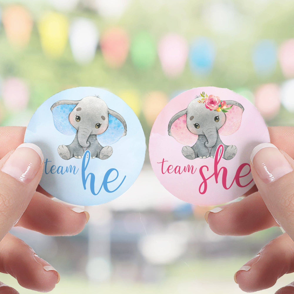 Elephant: Gender Reveal Party -Team He or Team She - 40 Stickers - Distinctivs Party