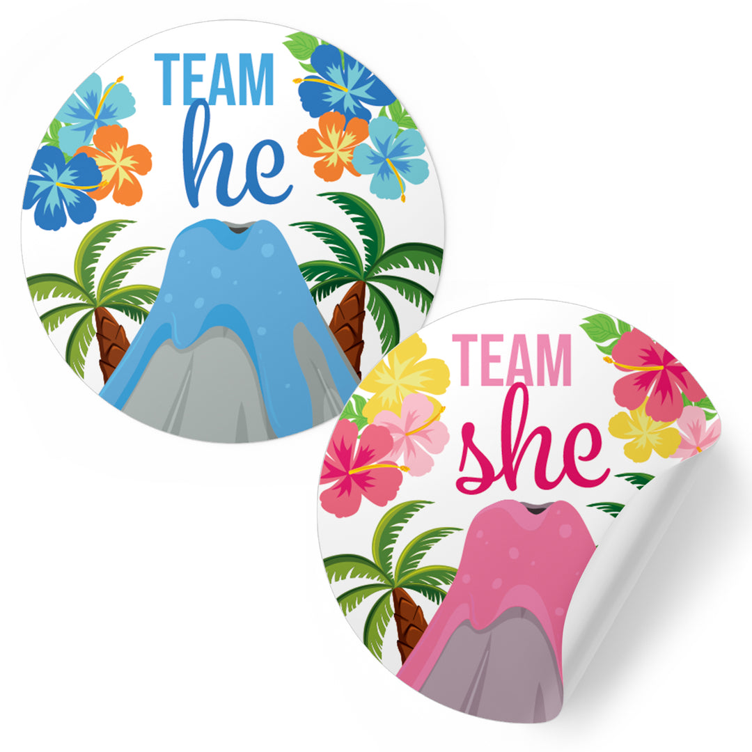 Luau hawaiano: fiesta de revelación de género, pegatinas de votación del equipo He y del equipo She, 40 pegatinas
