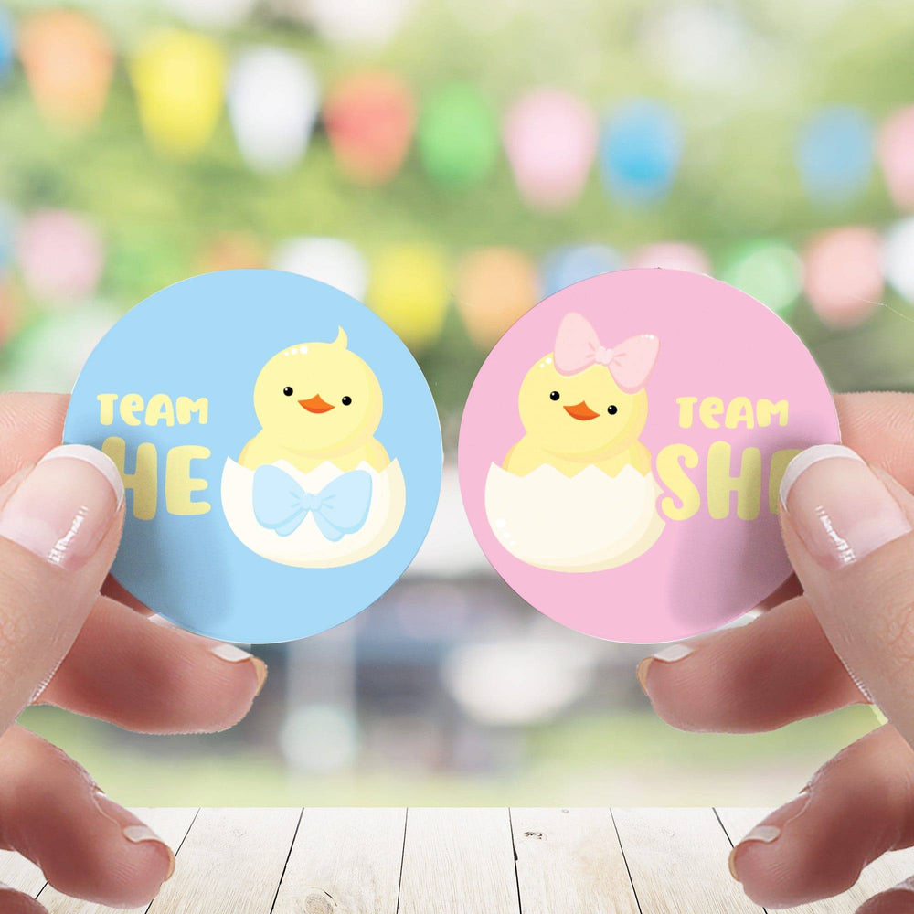 Little Chicks: Gender Reveal Party - Team He or Team She - 40 Stickers - Distinctivs Party