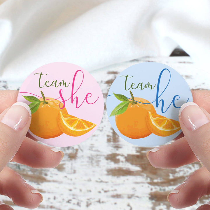 Little Cutie: Baby Gender Reveal Party - Team He or Team She Stickers - 40 Stickers - Distinctivs Party
