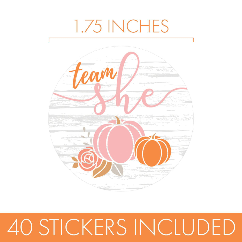 Little Pumpkin: Baby Gender Reveal Party - Team He or She Stickers - 40 Stickers - Distinctivs Party