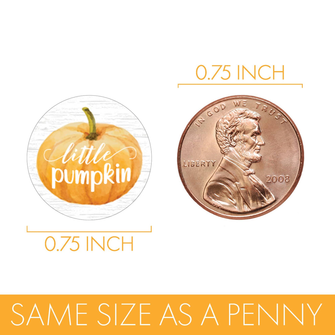 Little Pumpkin: Orange - Baby Shower - Party Favor Stickers - Fits on Hershey's Kisses - 180 Stickers - Distinctivs Party