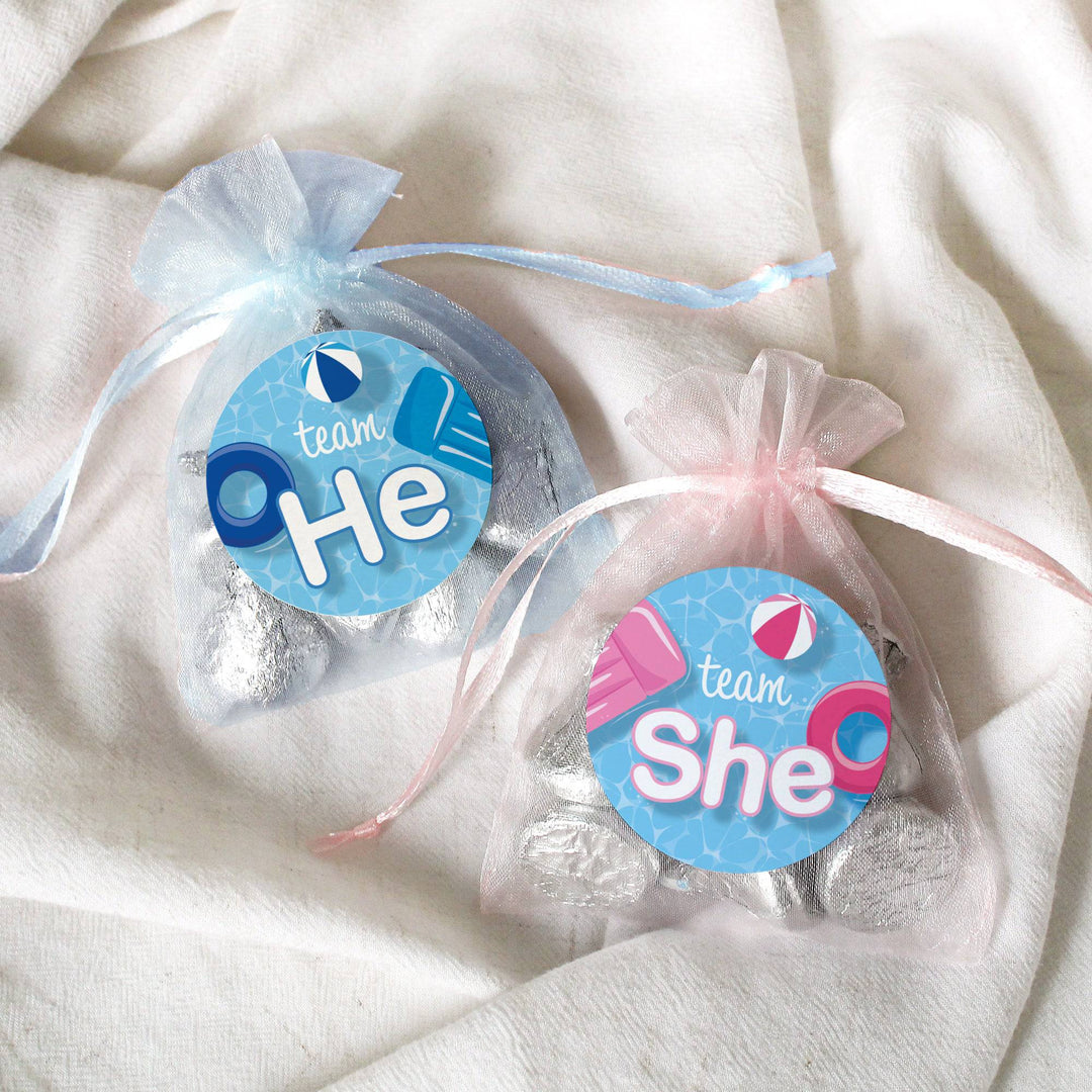 Pool Party: Gender Reveal Party - Team He or Team She - 40 Stickers