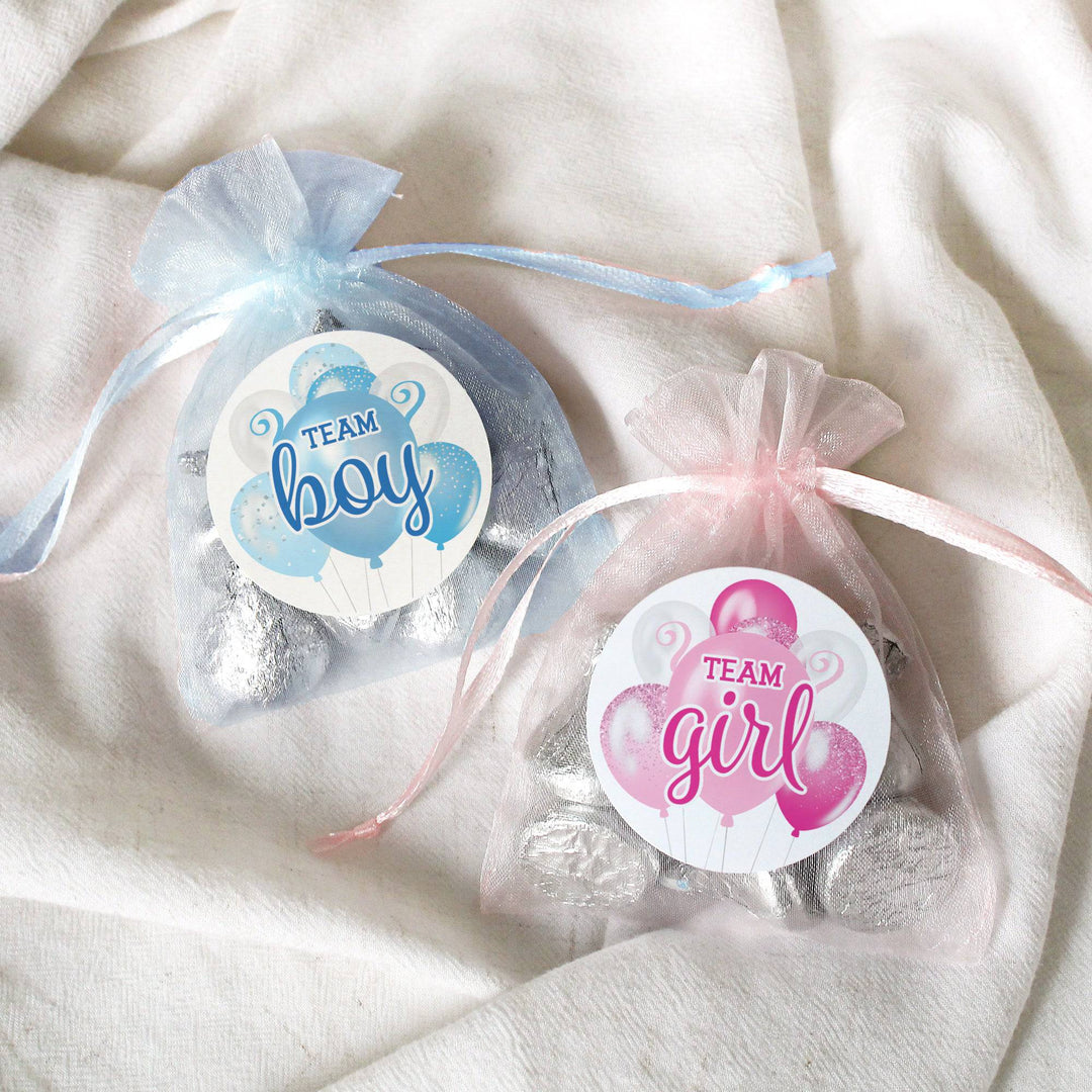 Pop the Balloon: Gender Reveal Party -Team Boy or Team Girl - 40 Stickers