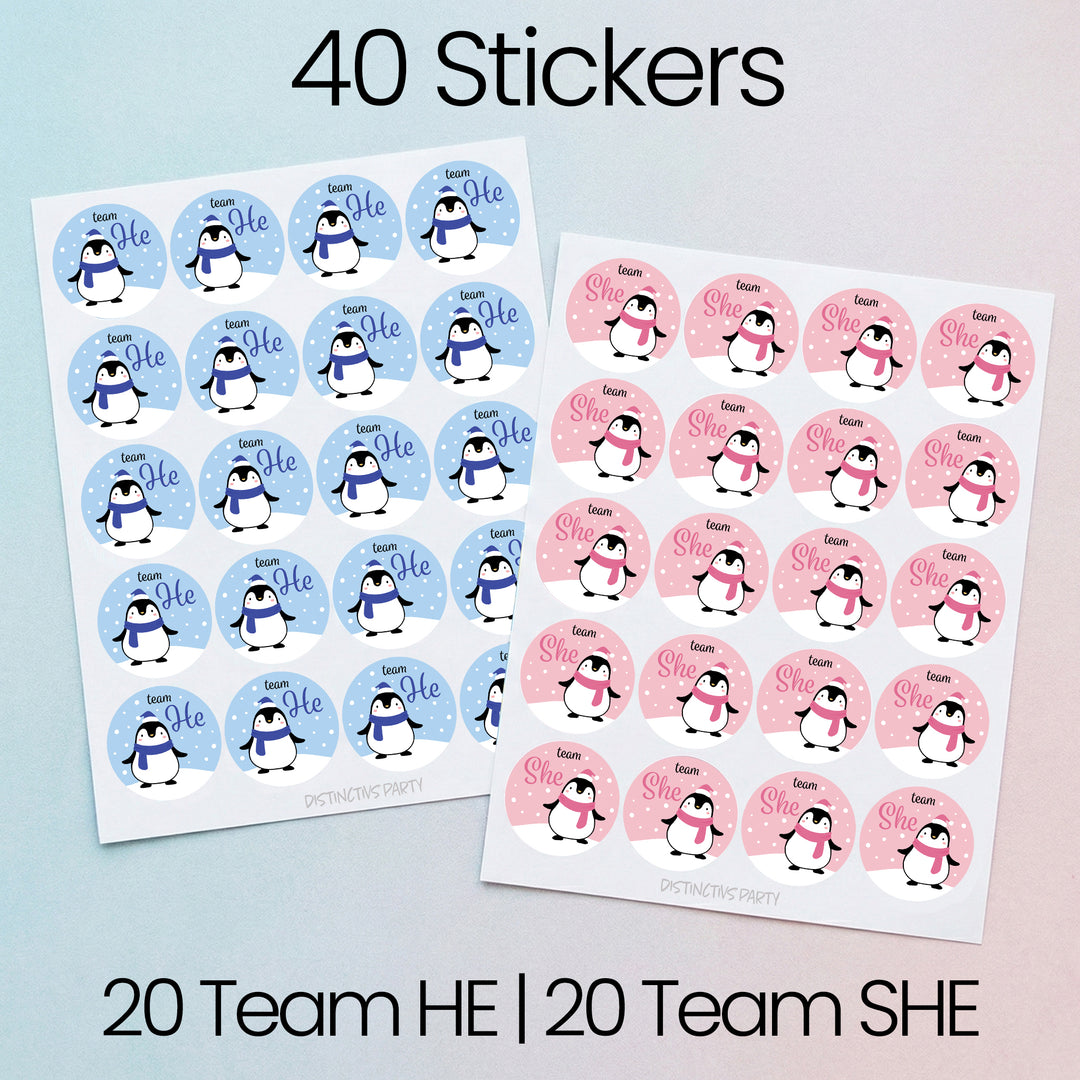 Penguin Gender Reveal Stickers Team He or Team She Stickers - 40 Stickers