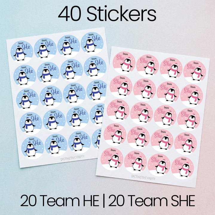 Penguin Gender Reveal Stickers Team He or Team She Stickers - 40 Stickers