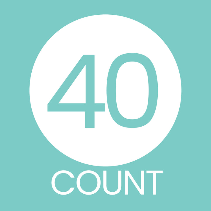 Sweet 16: Teal & Silver - Birthday Party Favor Stickers - 40 Stickers