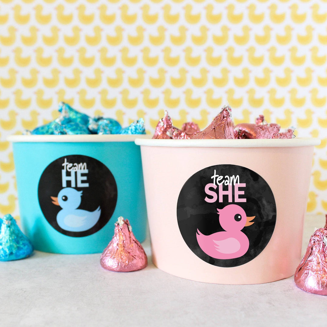 What the Duck Are They Having Gender Reveal Party - Team He or Team She - 40 Stickers - Distinctivs Party