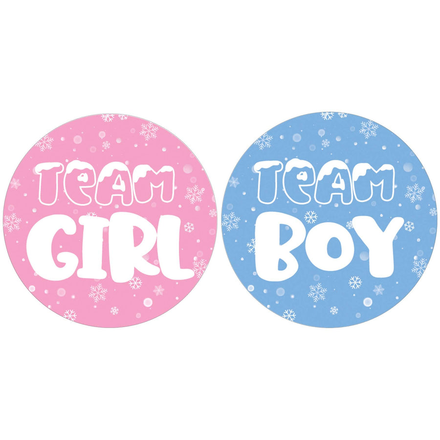 What Will Our Snowflake Be Winter Baby Gender Reveal Party - Blue or Pink Team Boy or Girl - 40 Stickers - Distinctivs Party