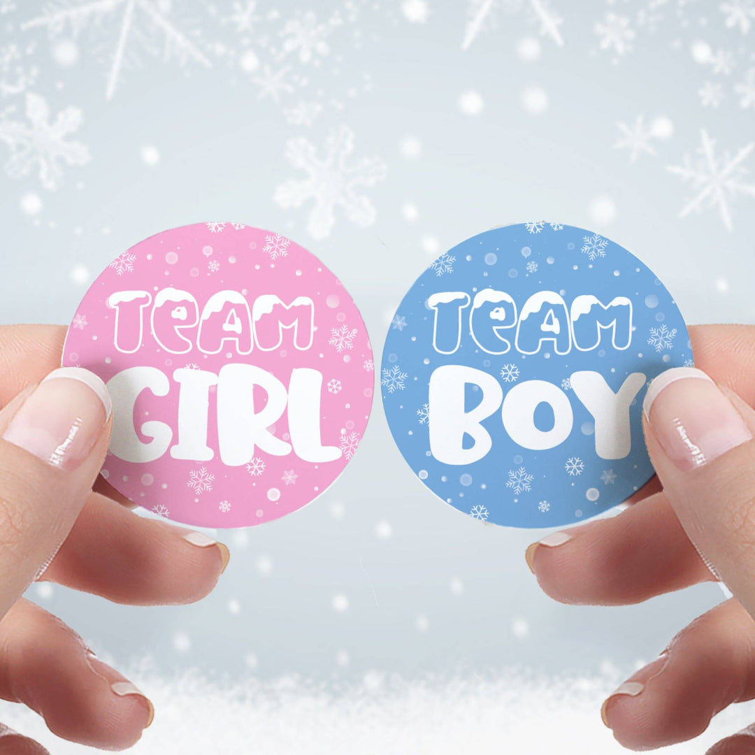 What Will Our Snowflake Be Winter Baby Gender Reveal Party - Blue or Pink Team Boy or Girl - 40 Stickers - Distinctivs Party