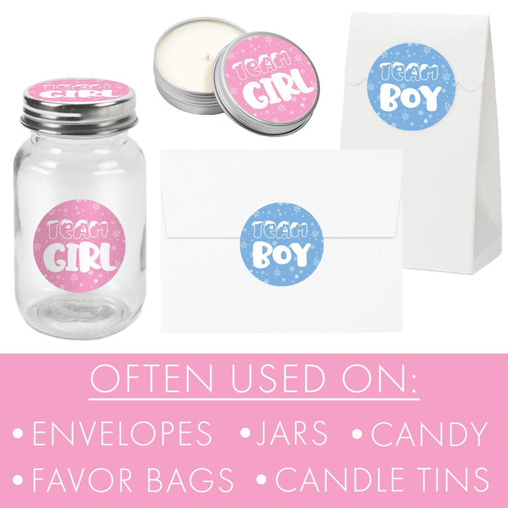 What Will Our Snowflake Be Winter Baby Gender Reveal Party - Blue or Pink Team Boy or Girl - 40 Stickers - Distinctivs Party