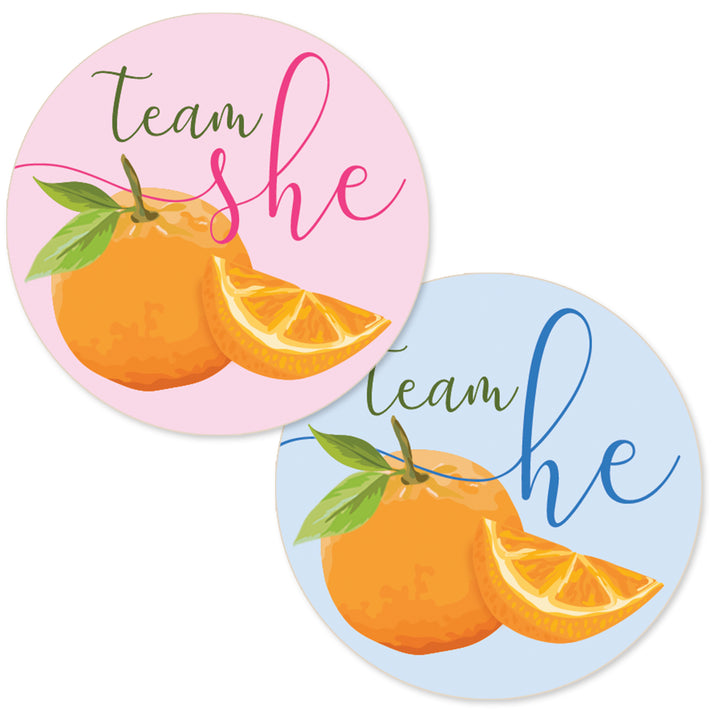 Little Cutie: Baby Gender Reveal Party - Team He or Team She Stickers - 40 Stickers