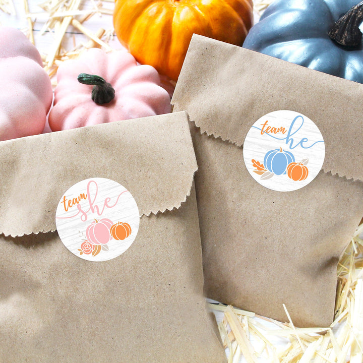 Little Pumpkin: Gender Reveal Party - Team He or She Stickers - 40 Stickers