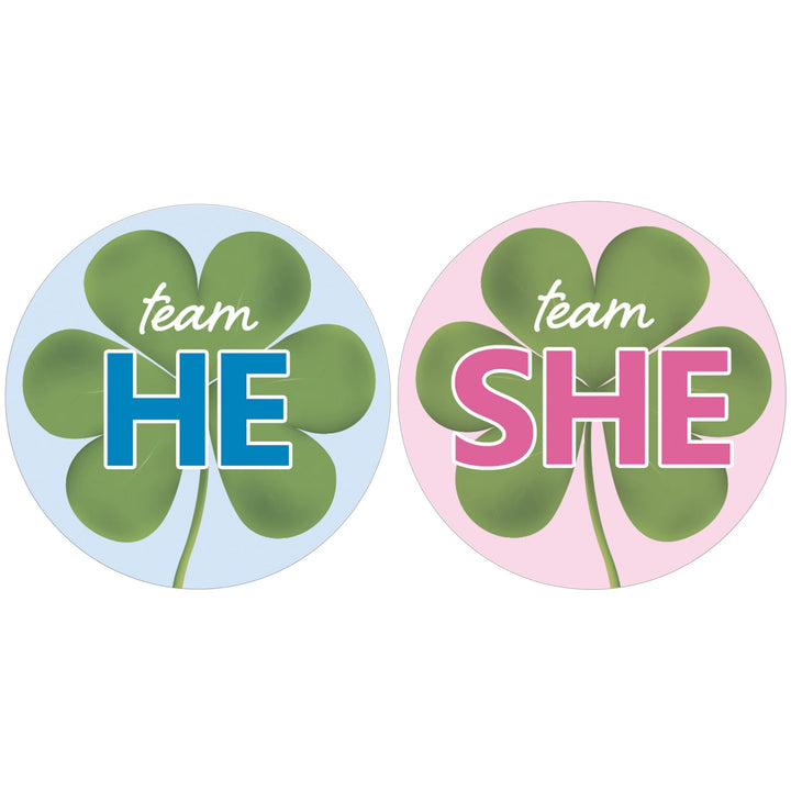 What Will Our Lucky Charm Be St. Patrick's Day Gender Reveal Stickers - 40 Stickers