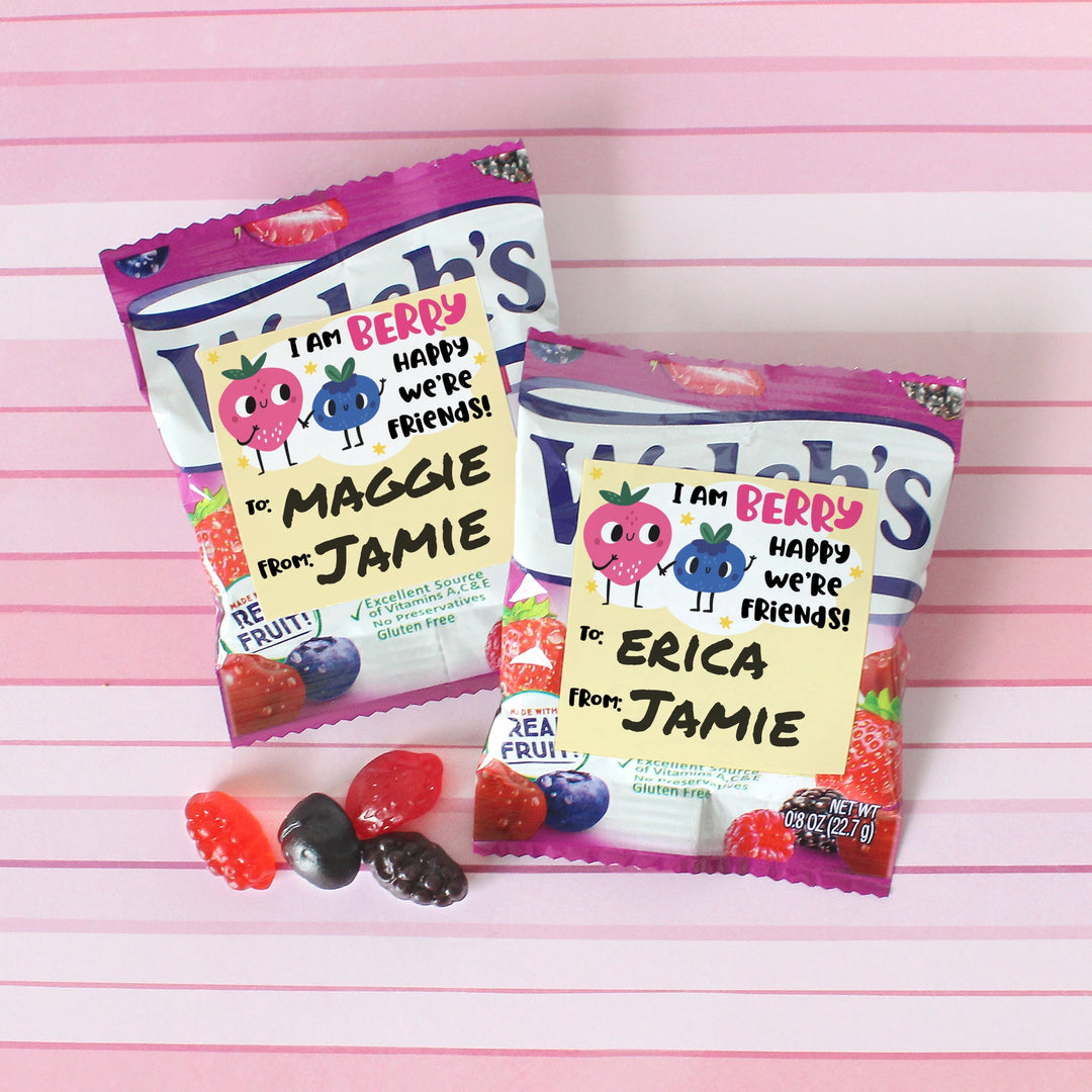 Pegatinas de regalo para el día de San Valentín: Berry Happy We Are Friends - Pegatinas para bolsas de refrigerios - 32 pegatinas