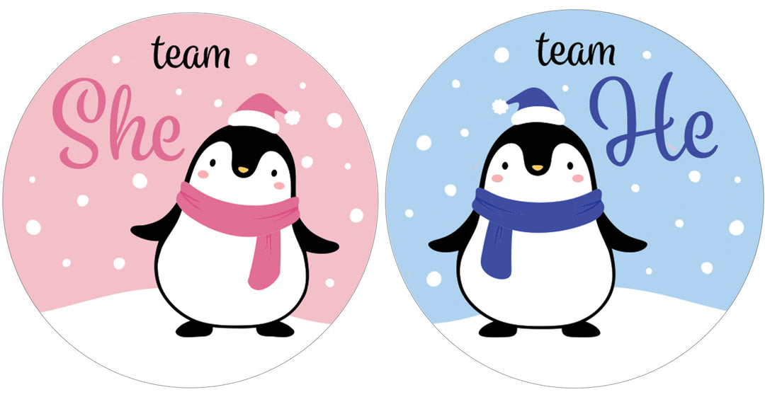 Pegatinas navideñas de revelación de género: Fiesta de pingüinos - Pegatinas del equipo Él o del Equipo Ella - 40 pegatinas