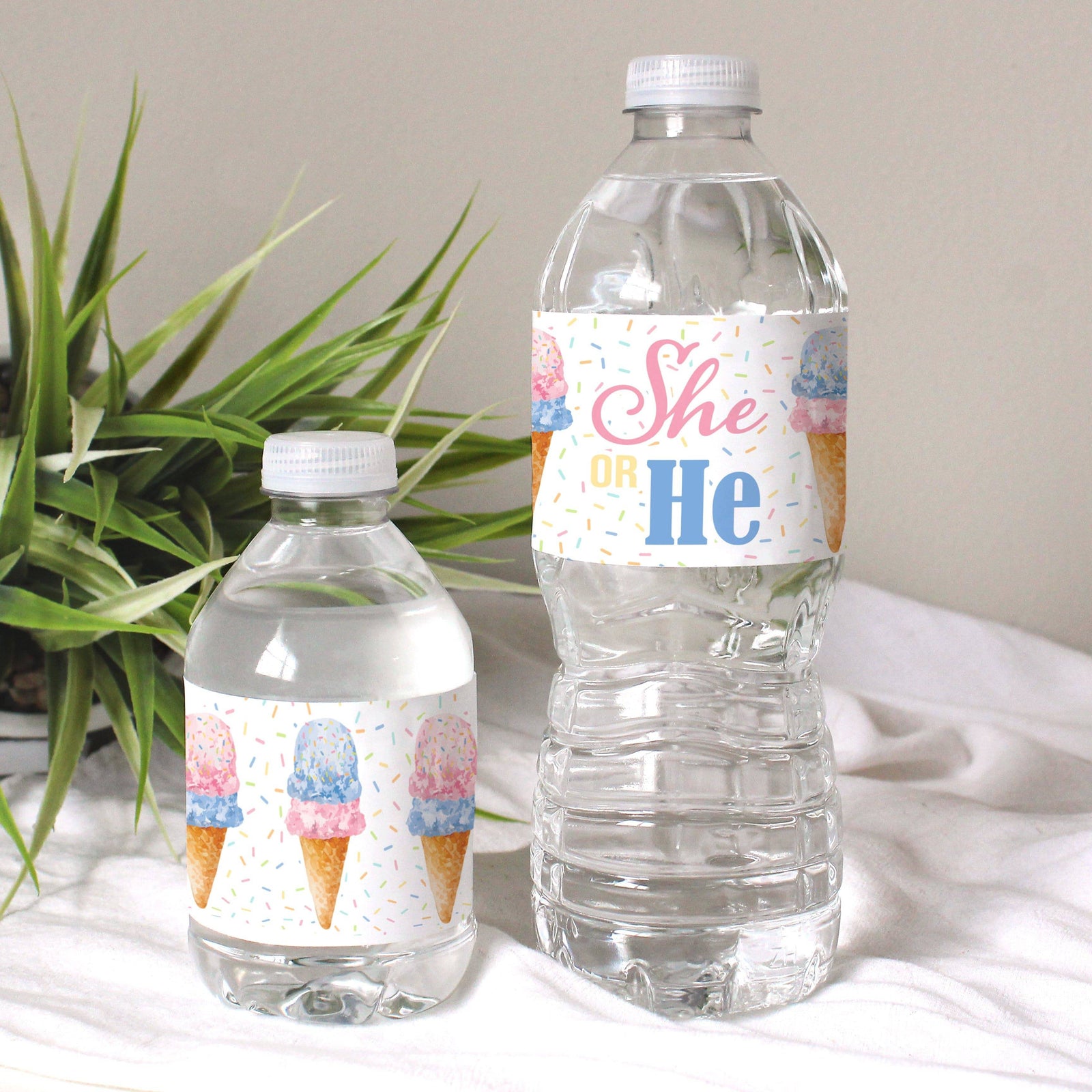 What's the Scoop:  Ice Cream -  Gender Reveal Party - Water Bottle Sticker Labels - 24 Pack - Distinctivs Party