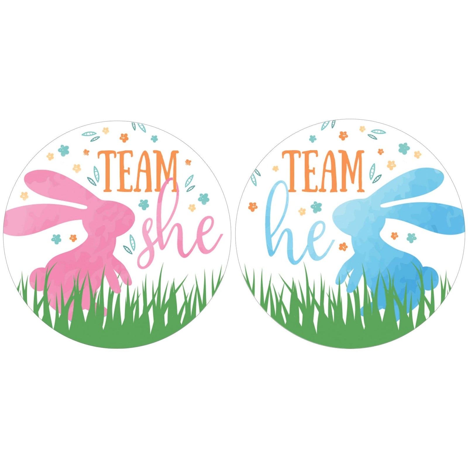 Easter Gender Reveal Party: Little Bunny -Team He or Team She Voting Stickers - 40 Stickers - Distinctivs Party
