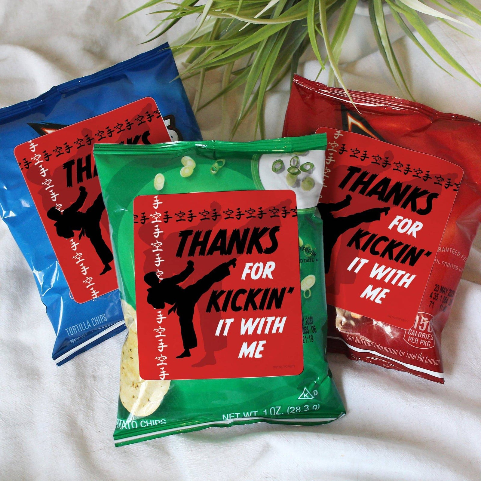 Jump, Kick, Block: Karate -  Kid's Birthday  - Chip Bag and Snack Bag Stickers - 32 Pack - Distinctivs Party