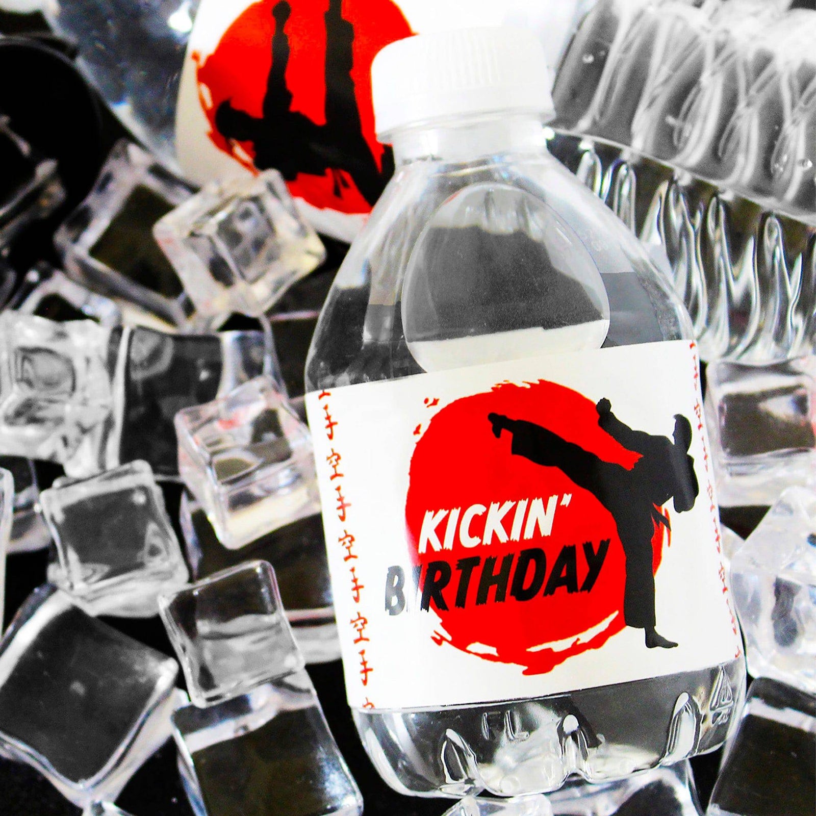 Jump, Kick, Block: Karate -  Kid's Birthday -  Water Bottle Labels - 24 Waterproof Stickers - Distinctivs Party