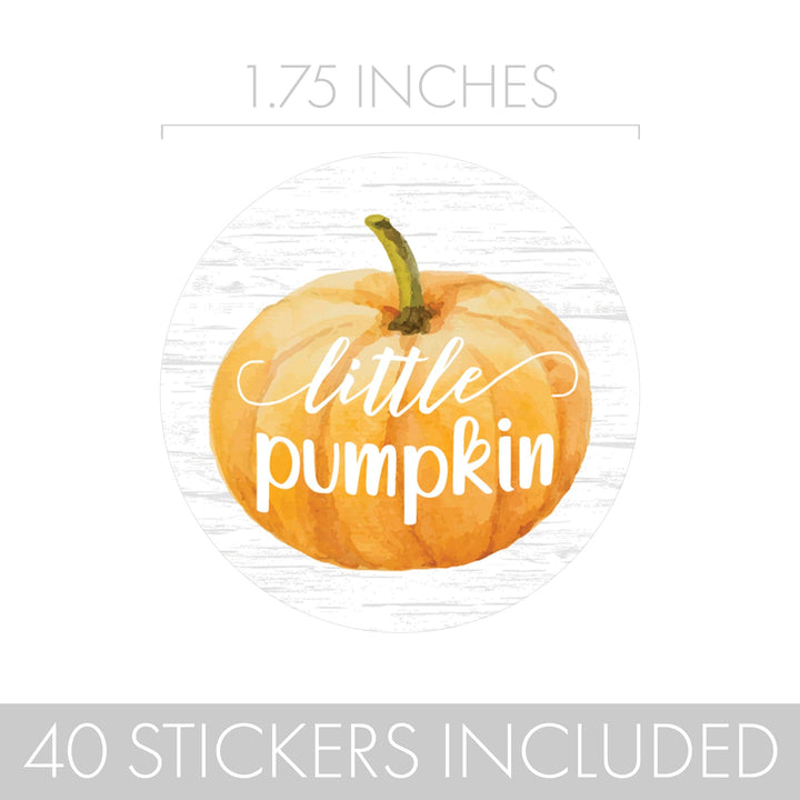 oh baby a little pumpkin is on the way party supplies decorations lil pumpkin autumn shower autumn theme my little pumpkin