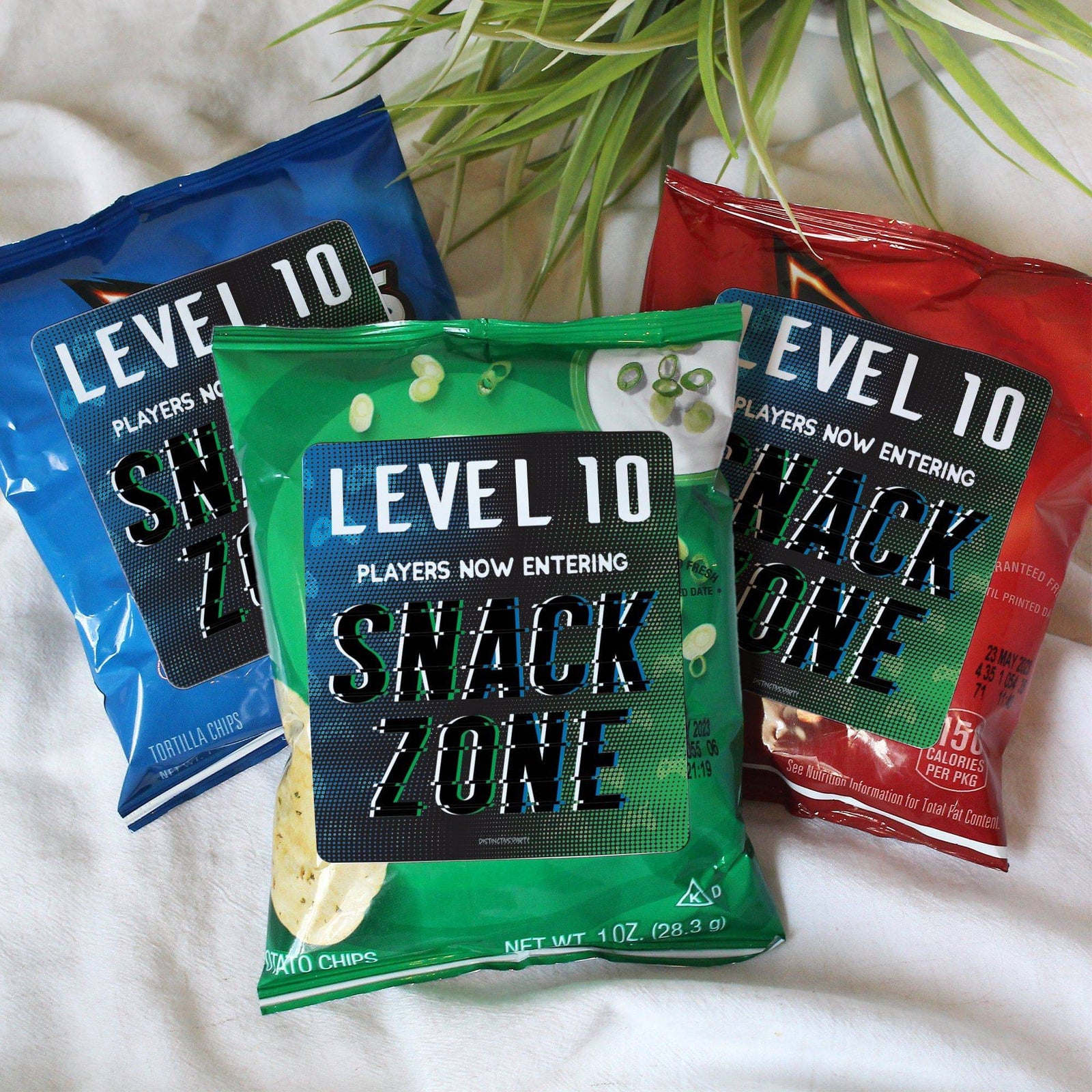 Video Gamer - Kid's Birthday -  Chip Bag and Snack Bag Stickers - 32 Pack - Distinctivs Party