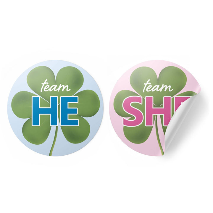 What Will Our Lucky Charm Be St. Patrick's Day Gender Reveal Stickers - 40 Stickers